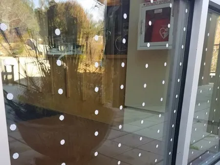 Bird-Friendly Glass